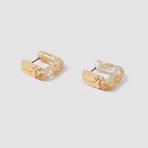 Ann Taylor Huggie Earnings